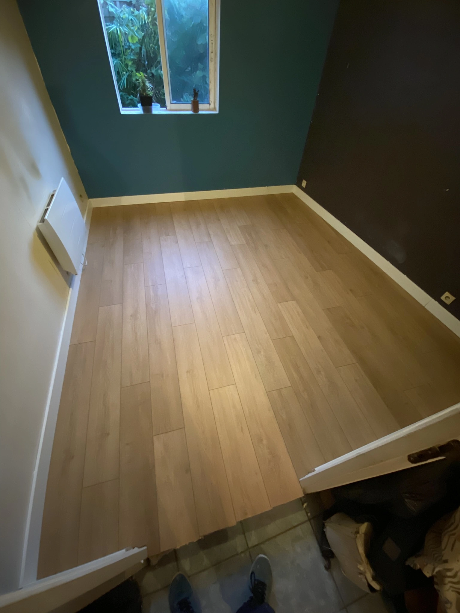 Chambre vide avec sol en bois clair, murs peints en bleu et marron, fenêtre avec deux petites plantes sur le rebord